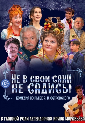 Не в свои сани не садись Гусь-Хрустальный